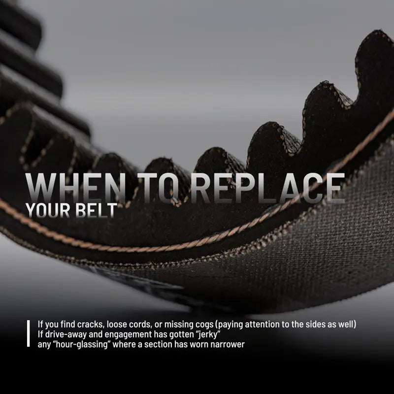 ORV Drive Belt, Part 3211180