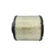 Polaris Air Filter, Part 7082037